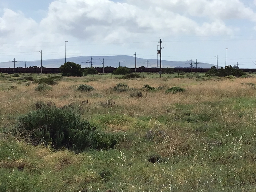 0 Bedroom Property for Sale in Vredenburg Rural Western Cape